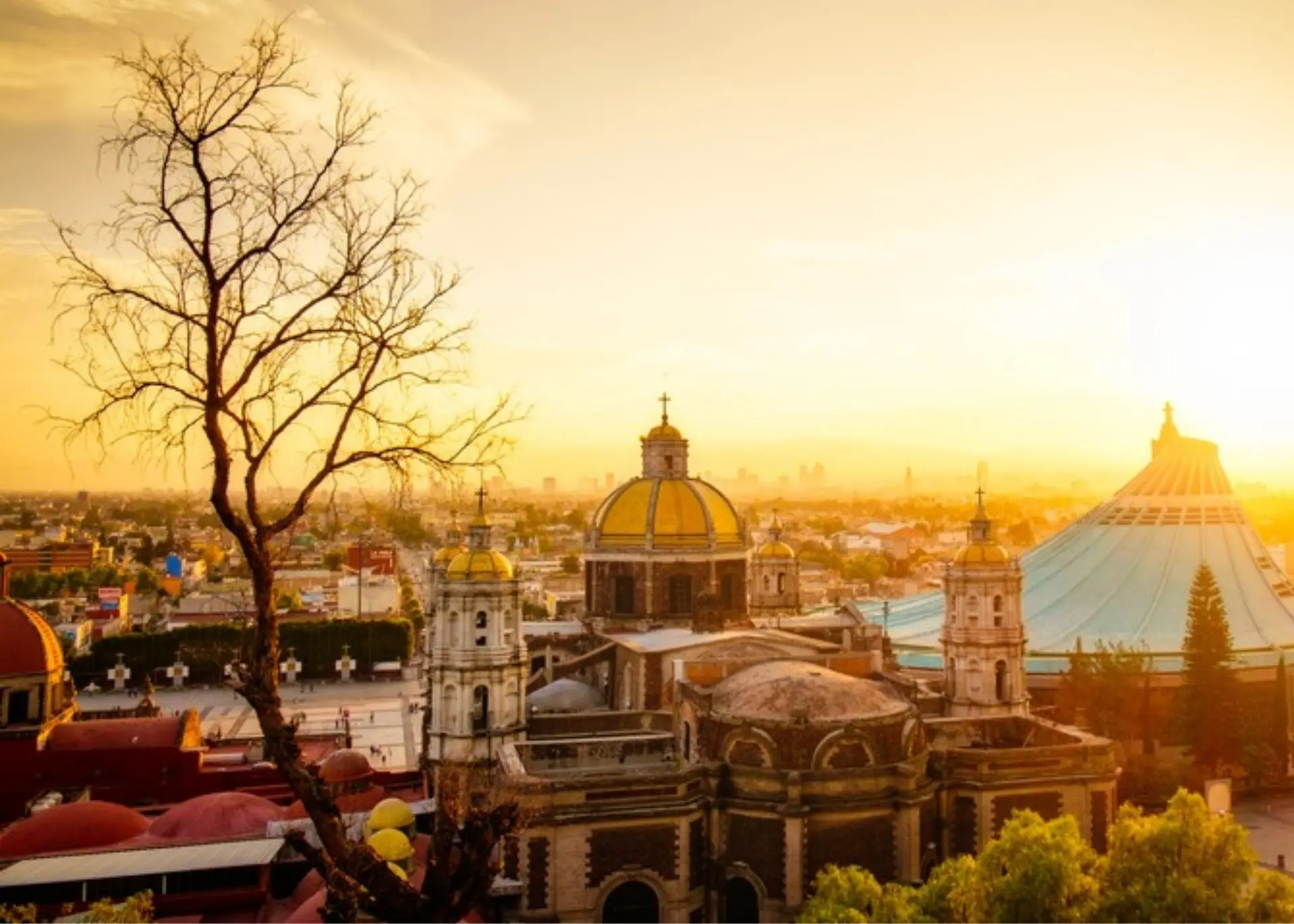 The Basilica of Our Lady of Guadalupe glowing at sunrise over Mexico City, for Sylvie di Giusto, international keynote speaker in Mexico City